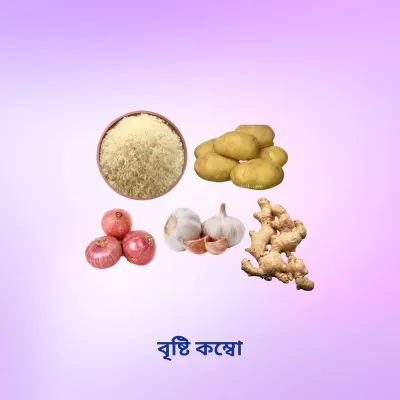 The Rain Combo  (বৃষ্টি কম্বো)